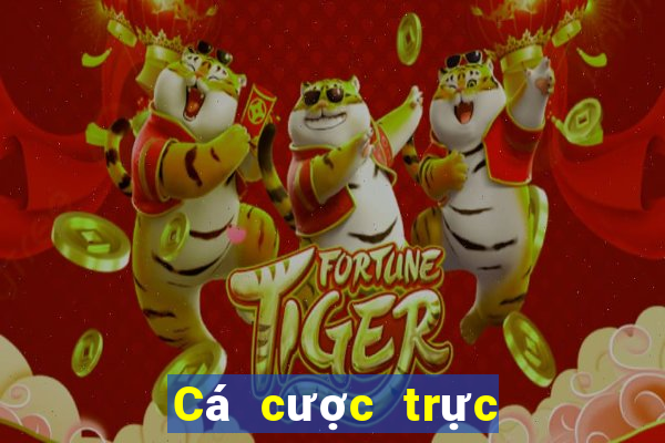 Cá cược trực tuyến kubet