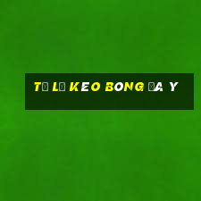 tỷ lệ kèo bóng đá ý