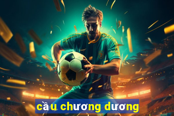 cầu chương dương