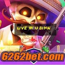 live Mậu Binh