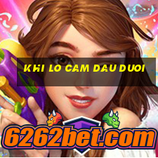 khi lo cam dau duoi