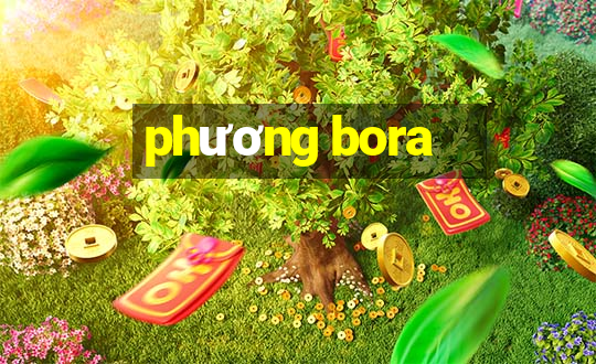 phương bora