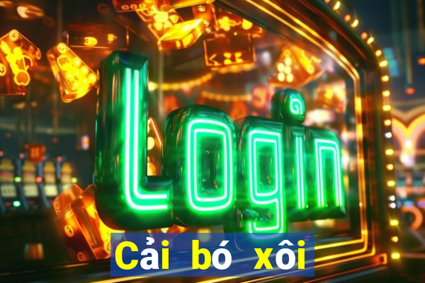 Cải bó xôi Fun88 tải về