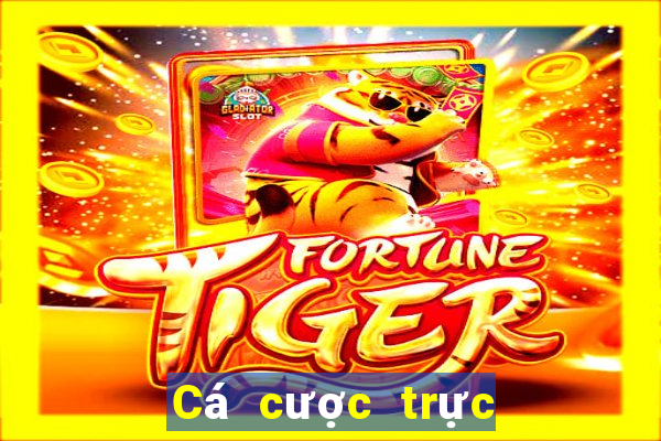 Cá cược trực tuyến 22Bet