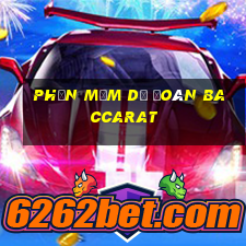 phần mềm dự đoán baccarat