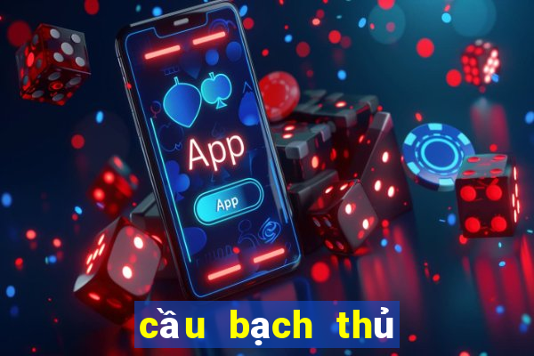 cầu bạch thủ miền nam hôm nay