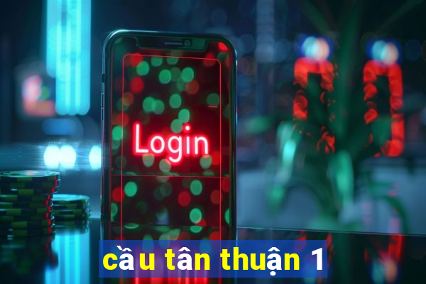 cầu tân thuận 1