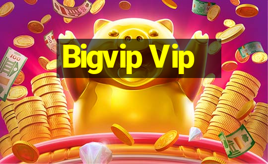 Bigvip Vip