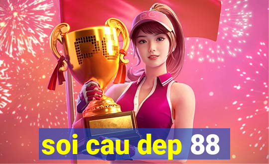 soi cau dep 88