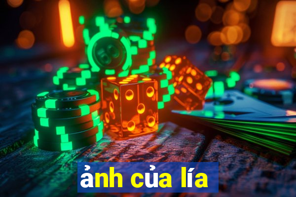 ảnh của lía