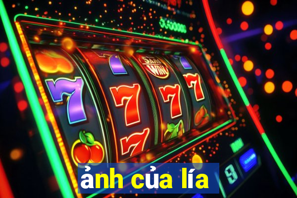 ảnh của lía