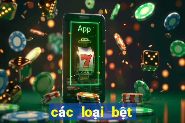 các loại bệt vệ sinh