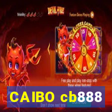 CAIBO cb888