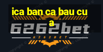 ica ban ca bau cua