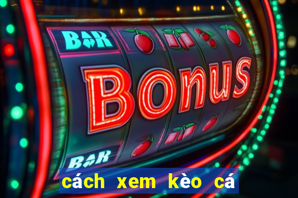 cách xem kèo cá cược bóng đá