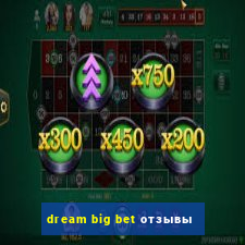 dream big bet отзывы