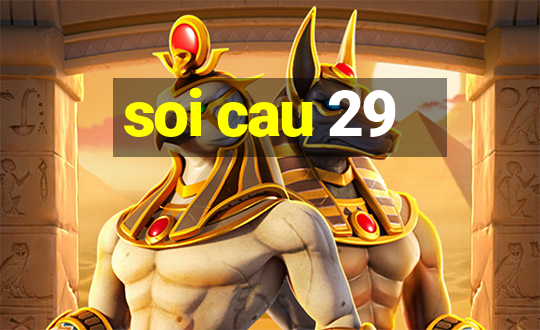 soi cau 29