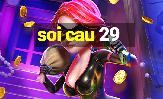 soi cau 29