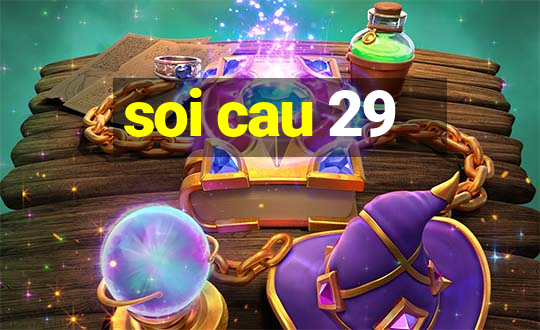 soi cau 29