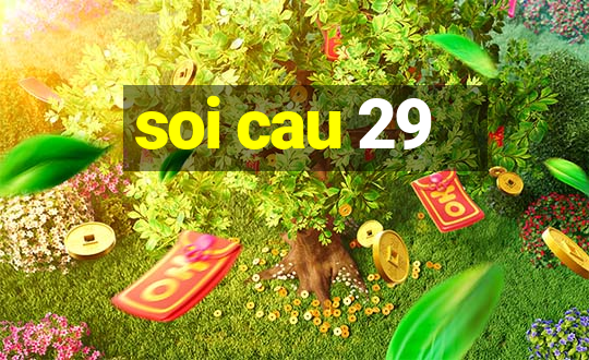 soi cau 29