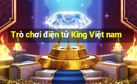 Trò chơi điện tử King Việt nam