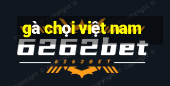 gà chọi việt nam