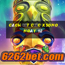 Cách đặt cược XSDNO ngày 12