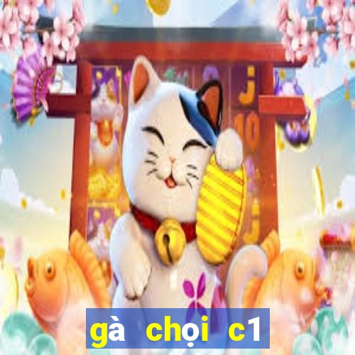 gà chọi c1 đỉnh cao