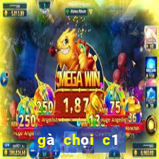 gà chọi c1 đỉnh cao