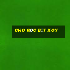 cho góc bẹt xoy