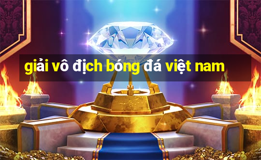 giải vô địch bóng đá việt nam