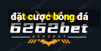 dat cuoc bong da