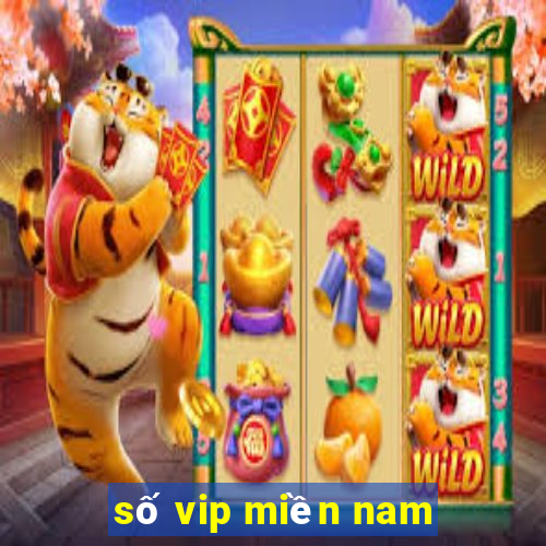 số vip miền nam