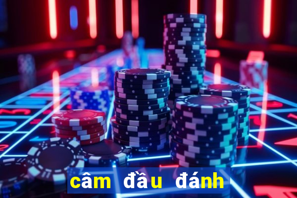 câm đầu đánh con gì