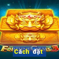 Cách đặt cược XSNT ngày 12