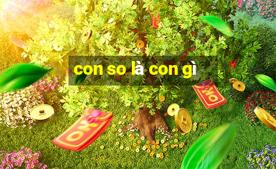 con so là con gì