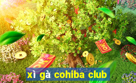 xì gà cohiba club