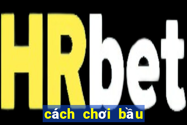 cách chơi bầu cua thắng