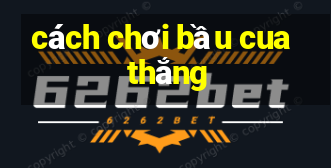 cách chơi bầu cua thắng