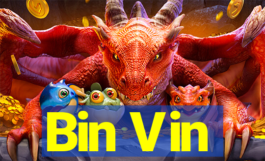 Bin Vin