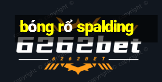 bóng rổ spalding