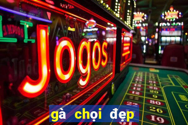 gà chọi đẹp nhất thế giới