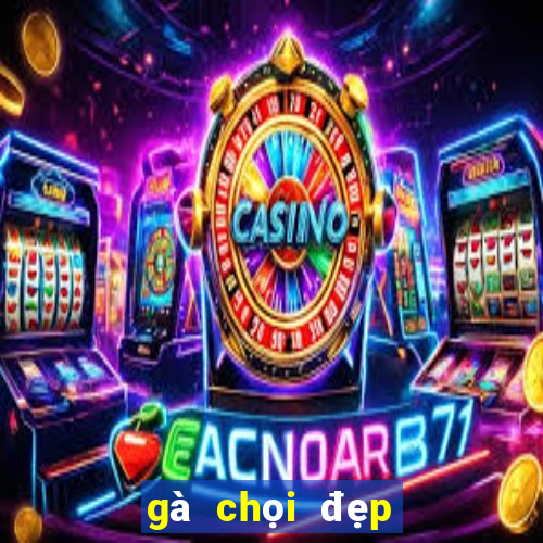 gà chọi đẹp nhất thế giới