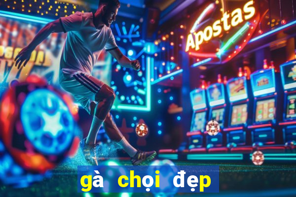 gà chọi đẹp nhất thế giới