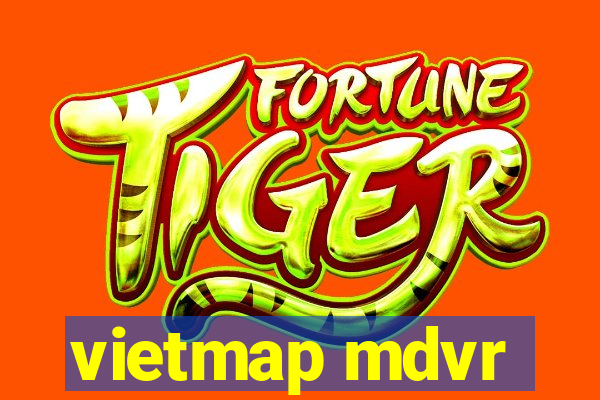 vietmap mdvr