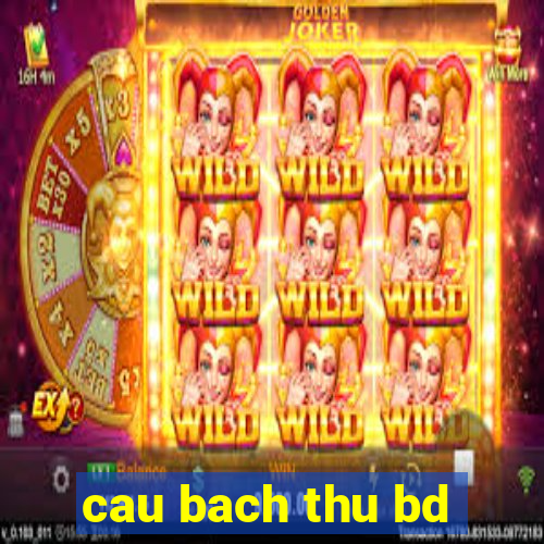 cau bach thu bd