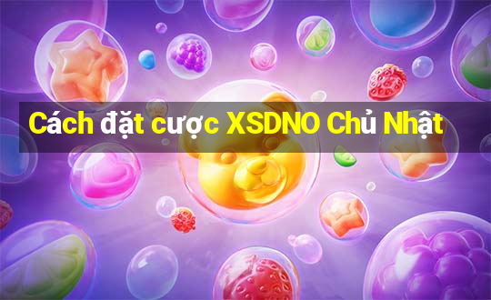 Cách đặt cược XSDNO Chủ Nhật