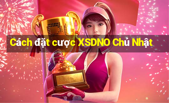 Cách đặt cược XSDNO Chủ Nhật