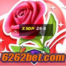 xsdn 29 6