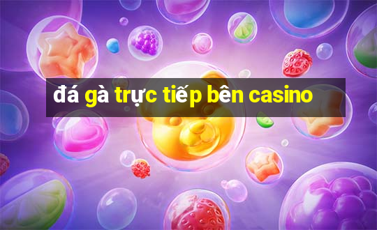 đá gà trực tiếp bên casino